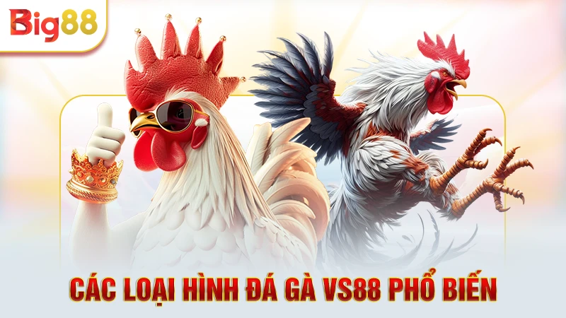 Các loại hình đá gà VS88 phổ biến
