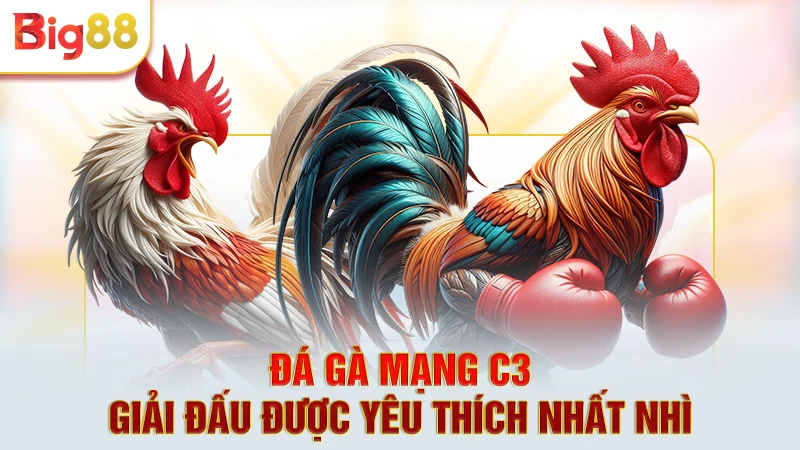 Đá gà mạng C3 - Giải đấu được yêu thích nhất nhì