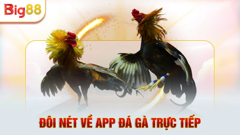 Đôi nét thú vị về app đá gà trực tiếp