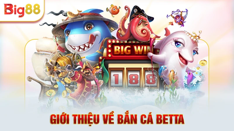 Giới thiệu về bắn cá Betta