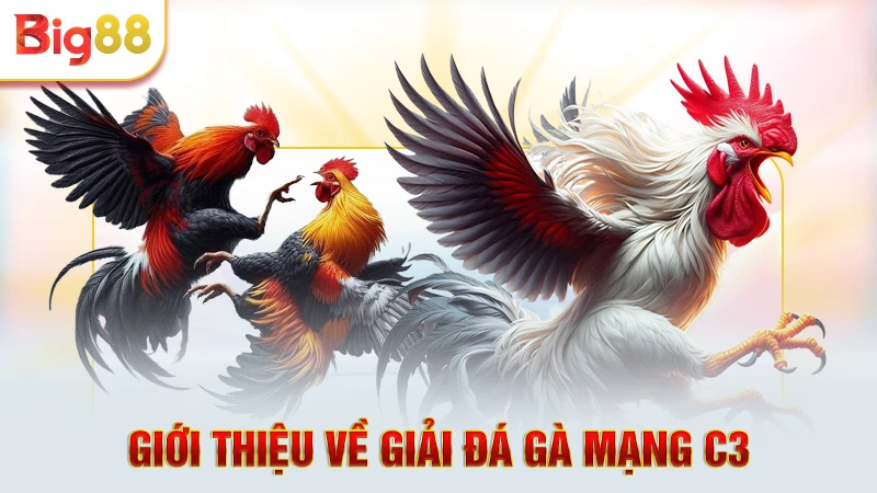 Cập nhật sơ lược về đá gà C3 trên mạng