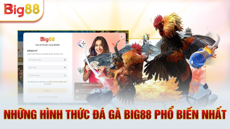 Những hình thức đá gà Big88 phổ biến nhất