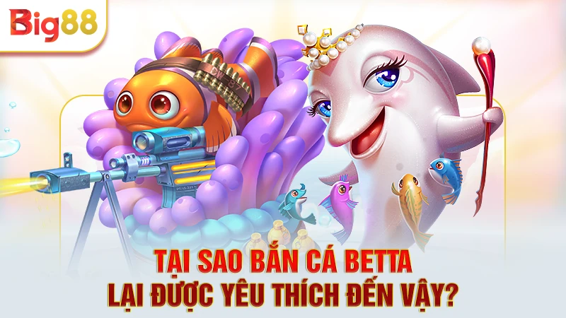 Tại sao bắn cá Betta lại được yêu thích đến vậy? 