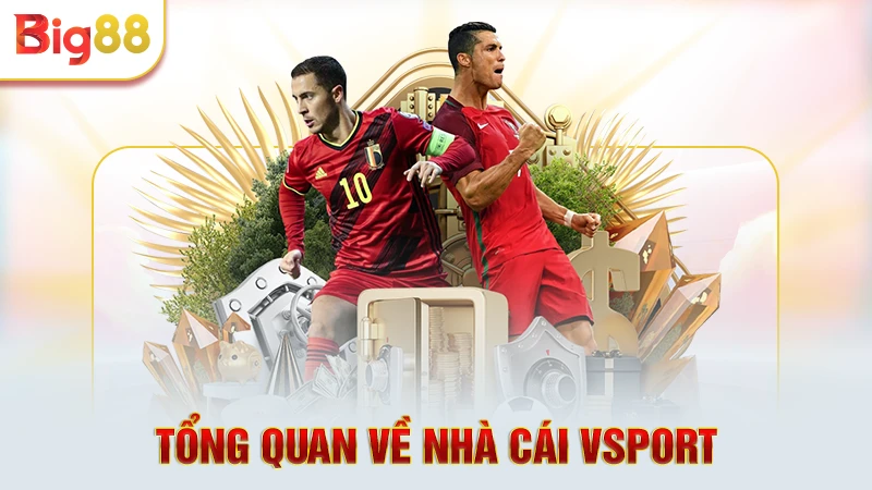 Tổng quan về nhà cái Vsport