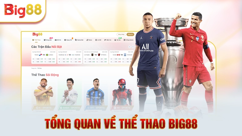 Tổng quan về thể thao Big88